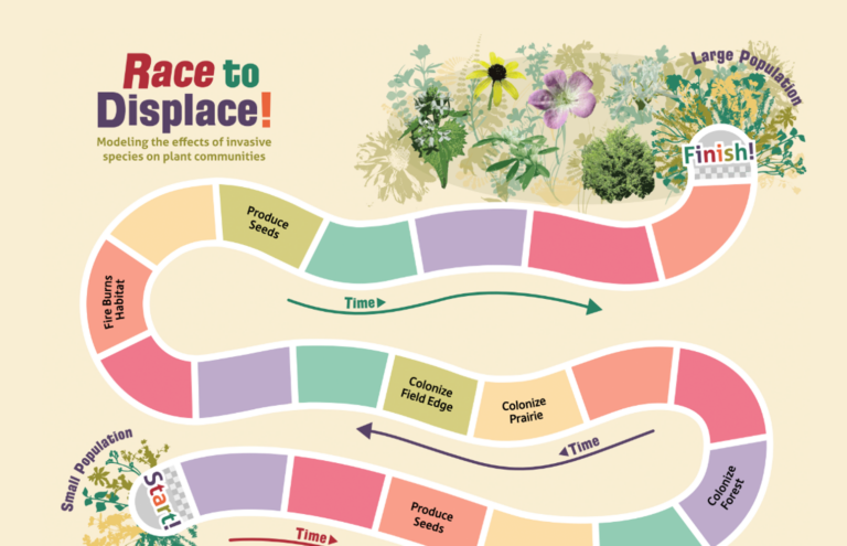 Race to Displace: A Game to Model Investigation the Effects of Invasive