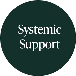 Systemic Support
