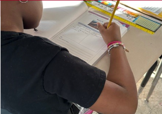 Integrating science and English language instruction