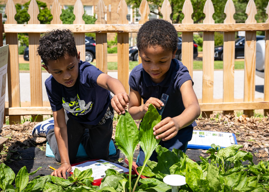 ‘Plants get sick!’: WashU scientists, U. City students research plants together